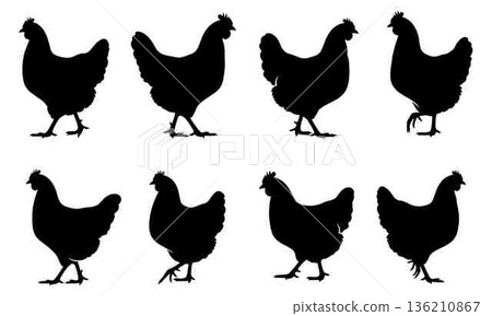Silhouette of Chickens Walking Vector Illustration for Farm and Food Silhouette of Chickens Walking Vector Illustration for Farm and Food 136210867