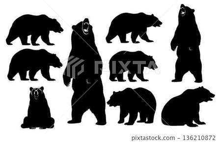 Silhouettes of Bears Standing Walking and Sitting on White Background Silhouettes of Bears Standing Walking and Sitting on White Background 136210872