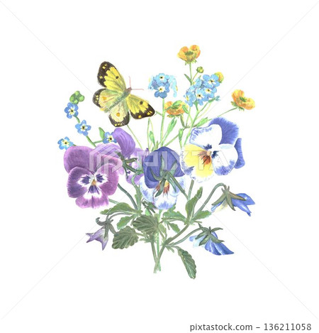 A hand-painted watercolor composition of pansies with leaves and buds, forget-me-nots, buttercups, and a yellow butterfly on an isolated white background. Spring botanical clip art illustration A hand-painted watercolor composition of pansies with leaves and buds, forget-me-nots, buttercups, and a yellow butterfly on an isolated white background. Spring botanical clip art illustration 136211058