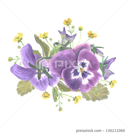 A floral arrangement of burgundy pansies with leaves , buds and yellow buttercups, hand-painted in watercolor on an isolated white background. Simple spring botanical illustration clip art for design 136211060