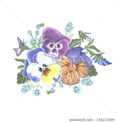 A floral arrangement of pansies and wild violets with leaves and buds, hand-painted in watercolor on an isolated white background. Simple botanical illustration clip art for store design, postcards A floral arrangement of pansies and wild violets with leaves and buds, hand-painted in watercolor on an isolated white background. Simple botanical illustration clip art for store design, postcards 136211099