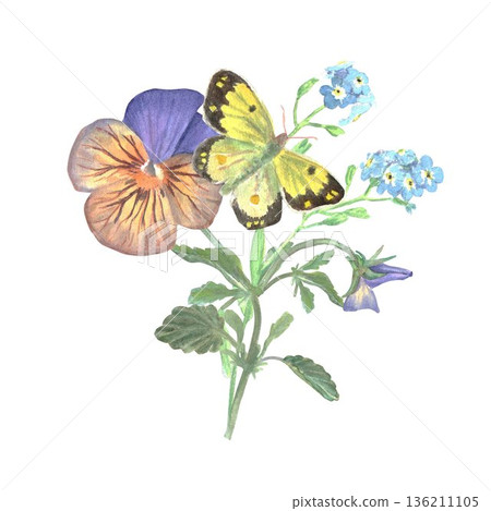 A freestanding pansy flower branch with leaves and buds, forget-me-nots, and a yellow butterfly, hand-painted in watercolor on an isolated white background. Spring botanical clip art illustration A freestanding pansy flower branch with leaves and buds, forget-me-nots, and a yellow butterfly, hand-painted in watercolor on an isolated white background. Spring botanical clip art illustration 136211105
