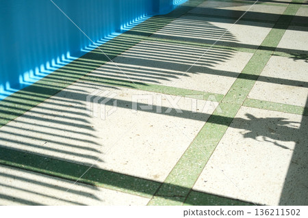 Shadows of palm leaves cast on a textured floor with green tiles, illuminated by natural light, creating a serene and tranquil atmosphere in a modern interior space Shadows of palm leaves cast on a textured floor with green tiles, illuminated by natural light, creating a serene and tranquil atmosphere in a modern interior space 136211502