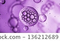 Vibrant abstract lilac purple oil and water bubbles background for cosmetic photography banner 136212689