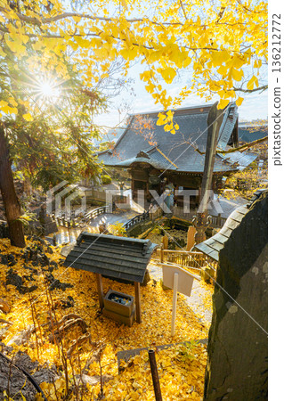 成田山新勝寺仁王門和金銀杏地毯 136212772