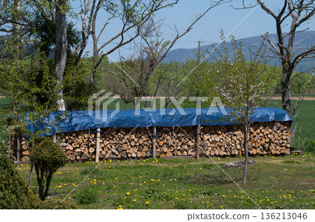 Firewood stacked in preparation for next winter Firewood stacked in preparation for next winter 136213046