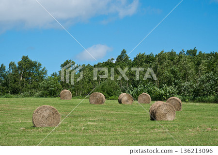 Wheat straw roll, Buckwheat roll 136213096