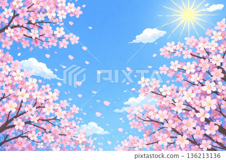 盛開的櫻花，藍天，向量圖 136213136