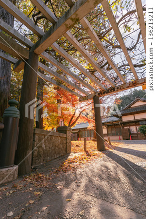 陽光透過成田山公園的金屬走道灑下來 陽光透過成田山公園的金屬走道灑下來 136213211