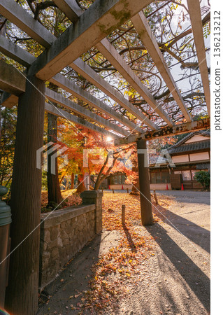 陽光透過成田山公園的金屬走道灑下來 陽光透過成田山公園的金屬走道灑下來 136213212