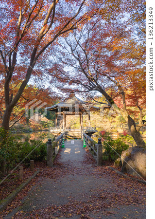 成田山公園內的浮見堂,四周環繞著秋葉。 成田山公園內的浮見堂,四周環繞著秋葉。 136213349