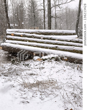 A stack of felled trees in a winter forest during a snowfall 136213428