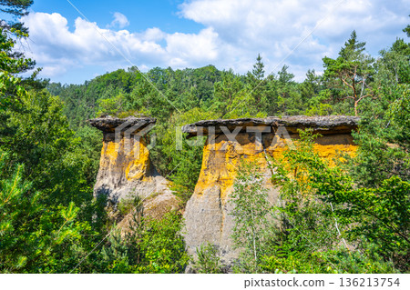 Sandstone formations rise in the Kokornsko region of Czechia. The rocks tower above trees and green plants under a bright sky. The scene shows natural beauty and geological features. 136213754