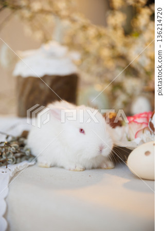 White baby bunny with Easter egg in soft spring light, copy space 136214720