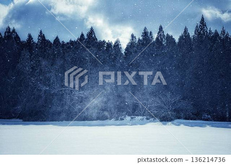 白雪皚皚的田野，雪花飄落。 136214736