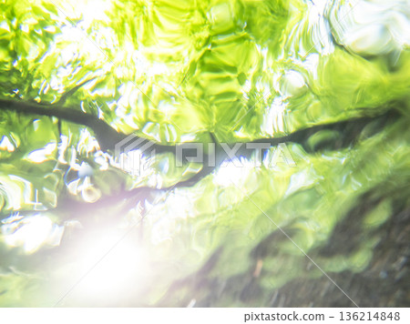 Fresh greenery, clear water, and eco-friendly images seen from underwater (Oyamakiyazawa mountain stream) Fresh greenery, clear water, and eco-friendly images seen from underwater (Oyamakiyazawa mountain stream) 136214848
