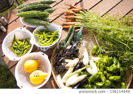 Freshly harvested summer vegetables Freshly harvested summer vegetables 136214949