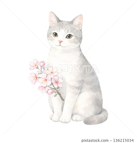Watercolor style white cat and pink flowers cute cat spring cutout illustration material 136215034