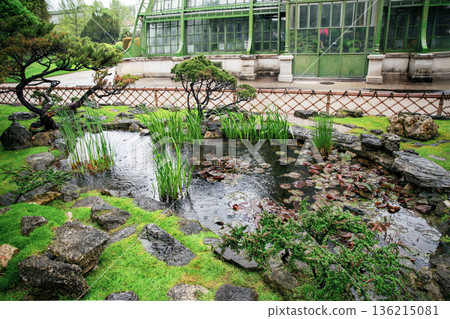 Japanese garden in Vienna with Japanese maple and topiary pine tree and pond and rocks and Greenhouse Japanese garden in Vienna with Japanese maple and topiary pine tree and pond and rocks and Greenhouse 136215081