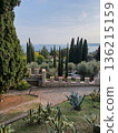 Garden Path with Cypress Trees and Shrubs 136215159
