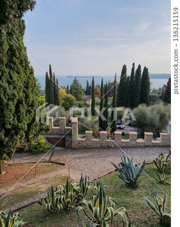Garden Path with Cypress Trees and Shrubs Garden Path with Cypress Trees and Shrubs 136215159
