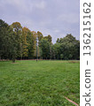 Green Field in Urban Park Morning 136215162