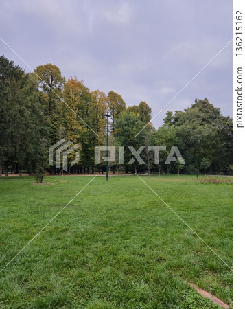 Green Field in Urban Park Morning 136215162
