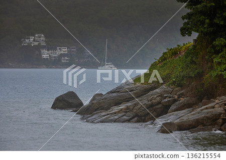 a palm tree by the pool in a luxury villa and the sea, it is raining heavily in the background,  136215554