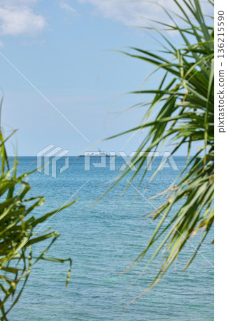 view through palm trees on a warship of the Thai Armed Forces stands in sea at sunny day view through palm trees on a warship of the Thai Armed Forces stands in sea at sunny day 136215590