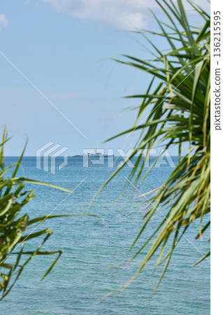 view through palm trees on a warship of the Thai Armed Forces stands in sea at sunny day 136215595