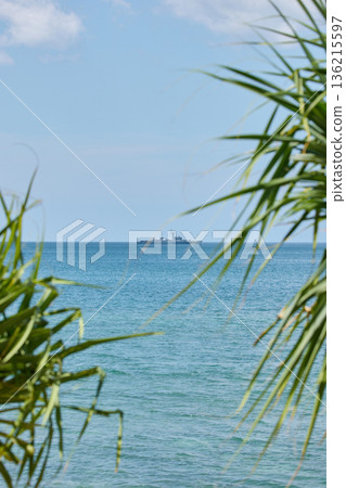 view through palm trees on a warship of the Thai Armed Forces stands in sea at sunny day 136215597