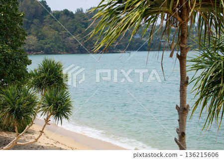View from luxury villa at sunny day, sun loungers for sunbathing, umbrellas from the sun, pillows for swimming in the pool, palm tree on background 136215606