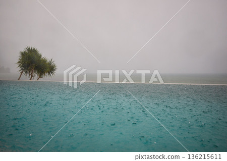 a palm tree by the pool in a luxury villa and the sea, it is raining heavily in the background,  136215611