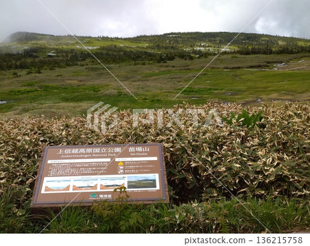 Naeba mountain peak moor Naeba mountain peak moor 136215758