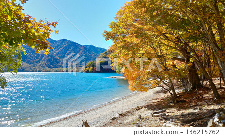 The beach and autumn leaves near Kumakubo on Lake Chuzenji The beach and autumn leaves near Kumakubo on Lake Chuzenji 136215762