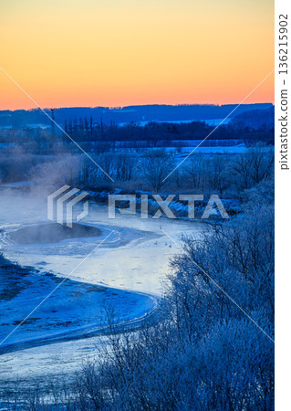 冬日清晨，北海道十勝川冰封的河面上，天鵝在冰面上游弋，天空湛藍，天鵝悠然漫步。 136215902