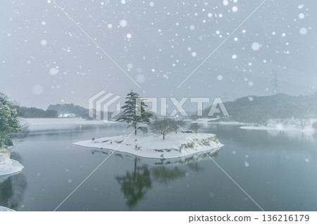 雪浮島 雪浮島 136216179