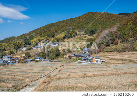 奈良縣飛鳥村的冬季梯田 136216260