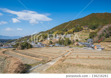 奈良縣飛鳥村的冬季梯田 136216261