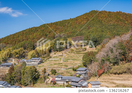 奈良縣飛鳥村的冬季梯田 136216267