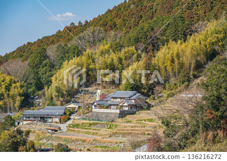 奈良縣飛鳥村的冬季梯田 136216272