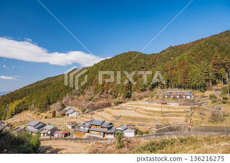 奈良縣飛鳥村的冬季梯田 136216275