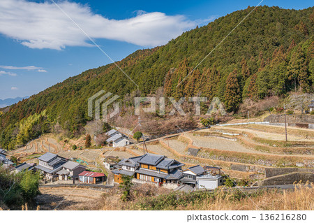 奈良縣飛鳥村的冬季梯田 136216280