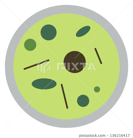 Microbiology cells in magnify glass. Biology cartoon icon Microbiology cells in magnify glass. Biology cartoon icon 136216417