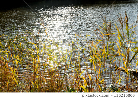 天龍沼澤靠近松山沼澤的起點 136216806