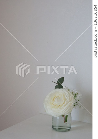白毛茛 136216854