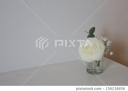 白毛茛 136216856