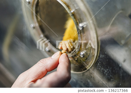 親手餵食松鼠猴－有趣的活動 136217366