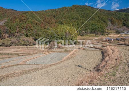 奈良縣飛鳥村的冬季梯田 136217530