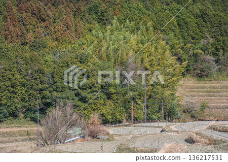 奈良縣飛鳥村的冬季梯田 136217531